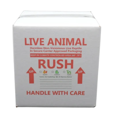 Safe reptile shipping with live arrival guarantee”