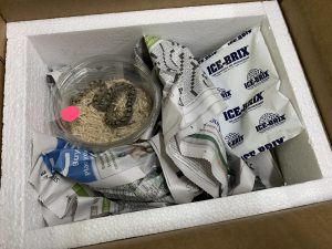 ackie monitor for sale - live arrival guarantee